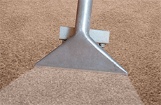 carpet cleaning houston tx